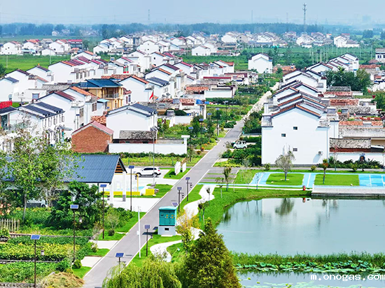 南陈集镇孙庄村生机盎然